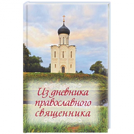 Православие в целом, книга Из дневника православного священника купить по скидке