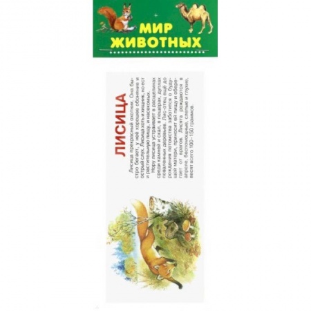 Животный и растительный мир, книга Мир животных. Набор карточек купить по скидке