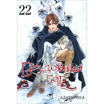 Бездомный бог. Том 22 / Noragami Vol 22